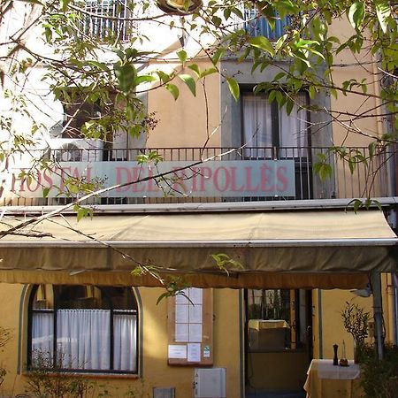 Hostal Del Ripollès Esterno foto